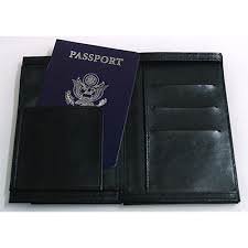 Pickpocket Passport by Alan Wong & Gregory Wilson